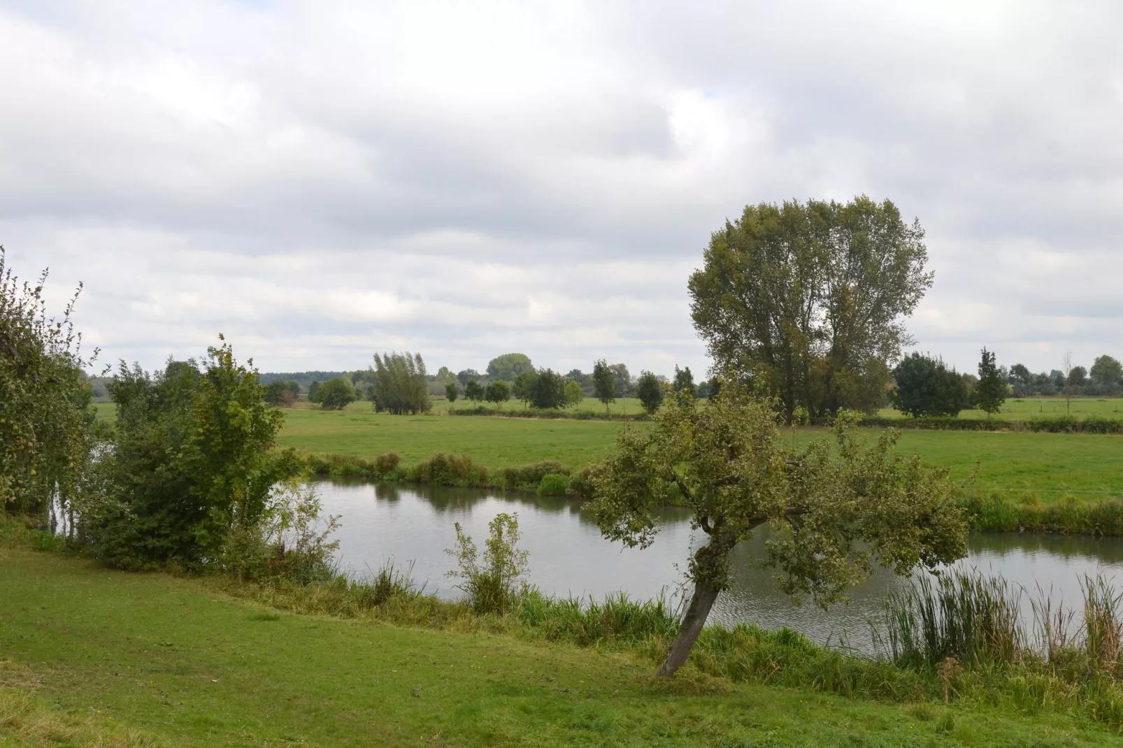 Koetshuis 't Geyn-Landgoed Noordenhoek-Areas summer 5km