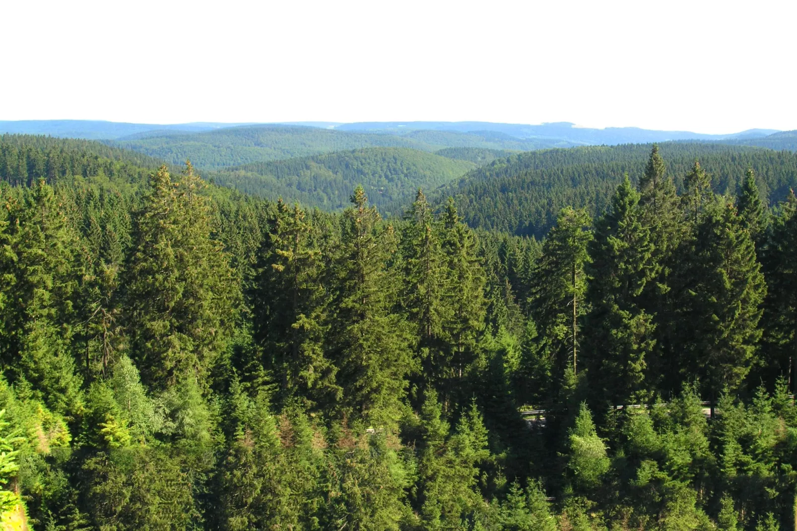 Flat near the forest in Frauenwald Thuringia-Areas summer 5km