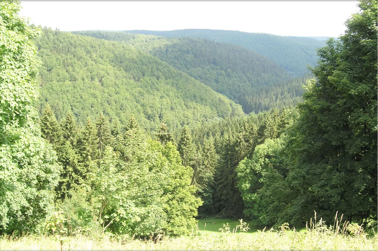 Flat near the forest in Frauenwald Thuringia-Areas summer 5km
