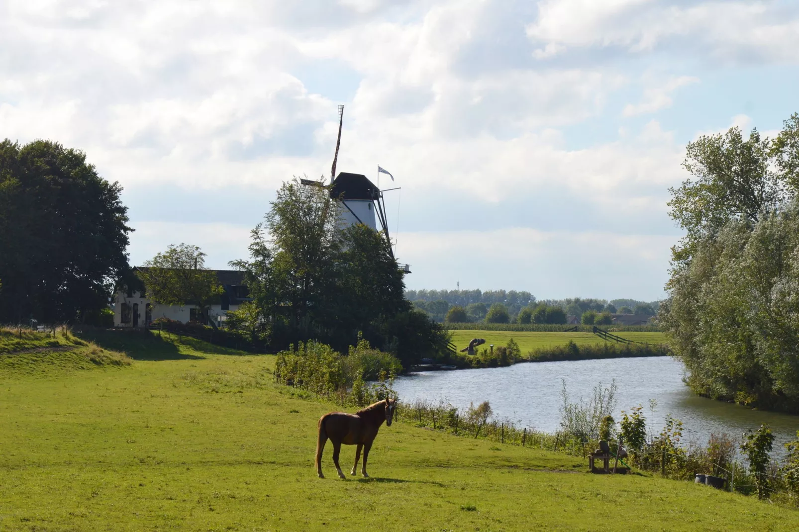 Koetshuis 't Geyn-Landgoed Noordenhoek-Areas summer 5km