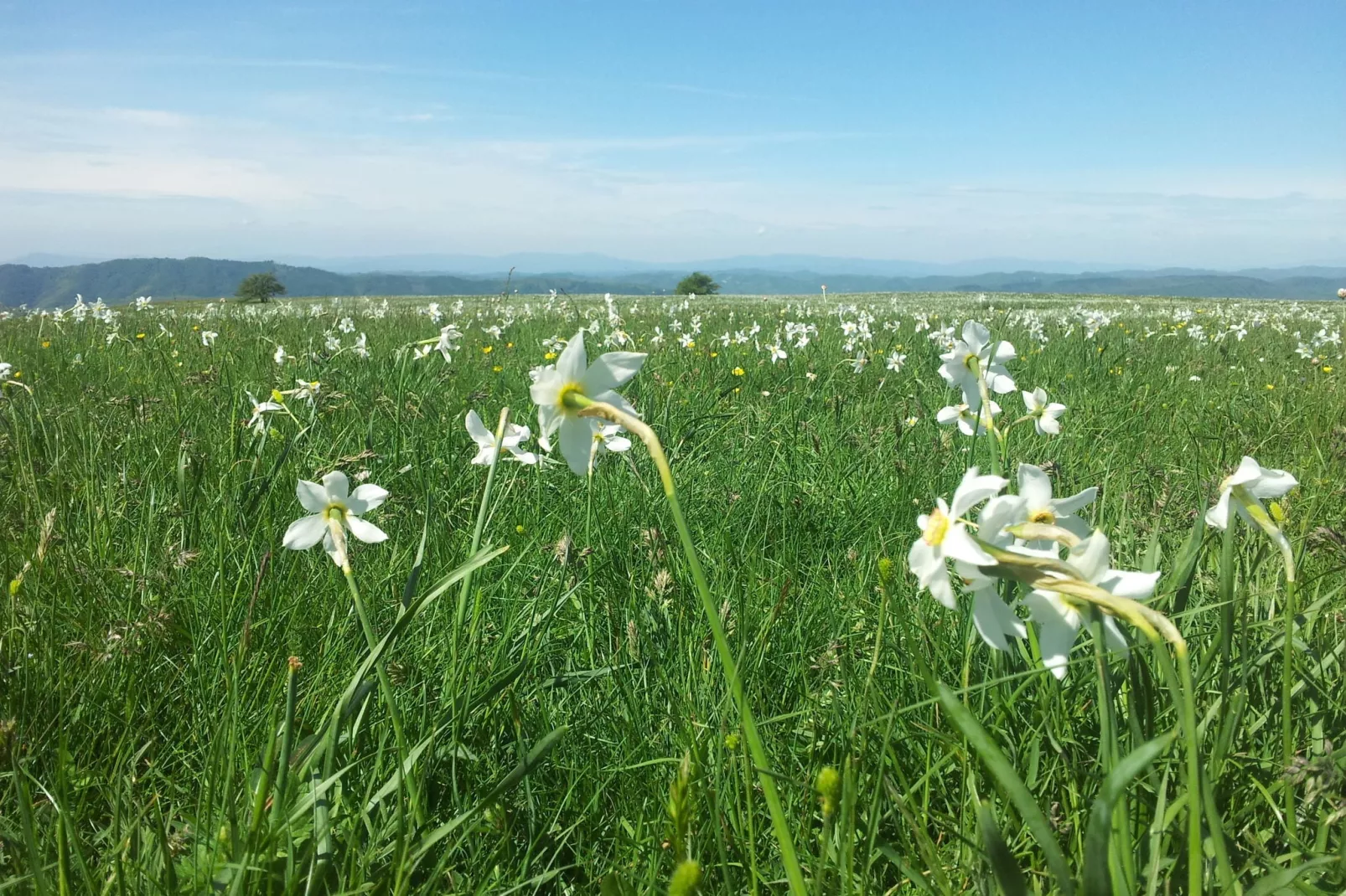 Relax-Areas within 1km in summer