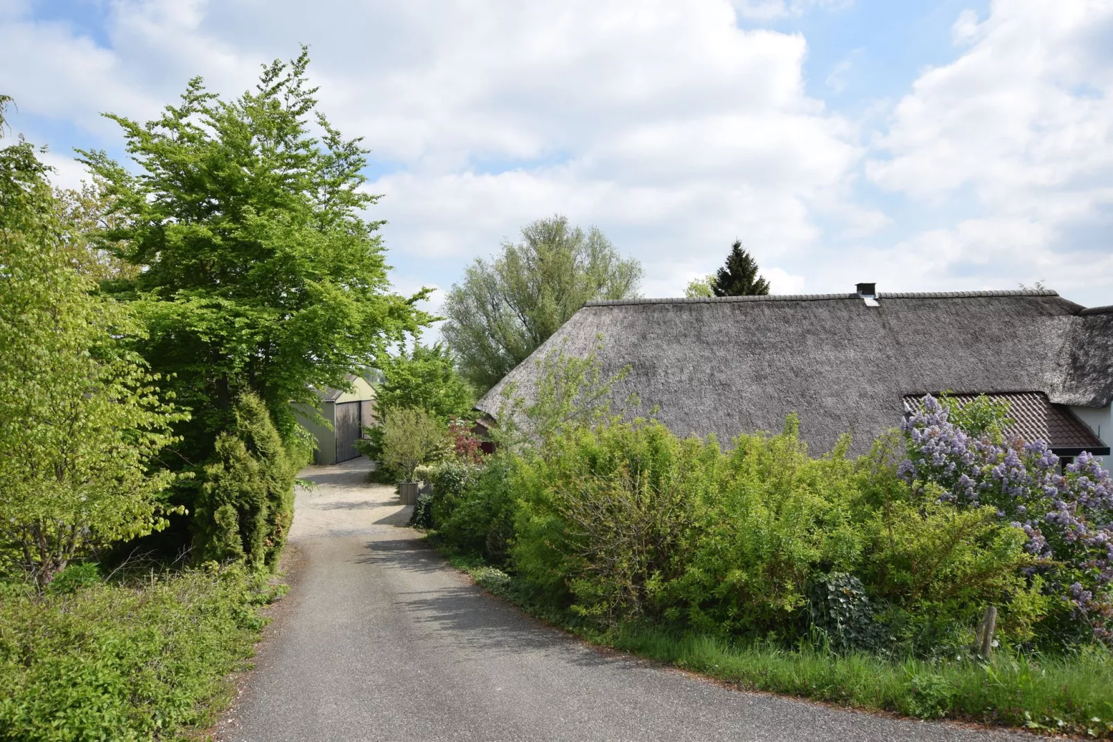 Hoeve Hoogst Tevreden-Exterior summer
