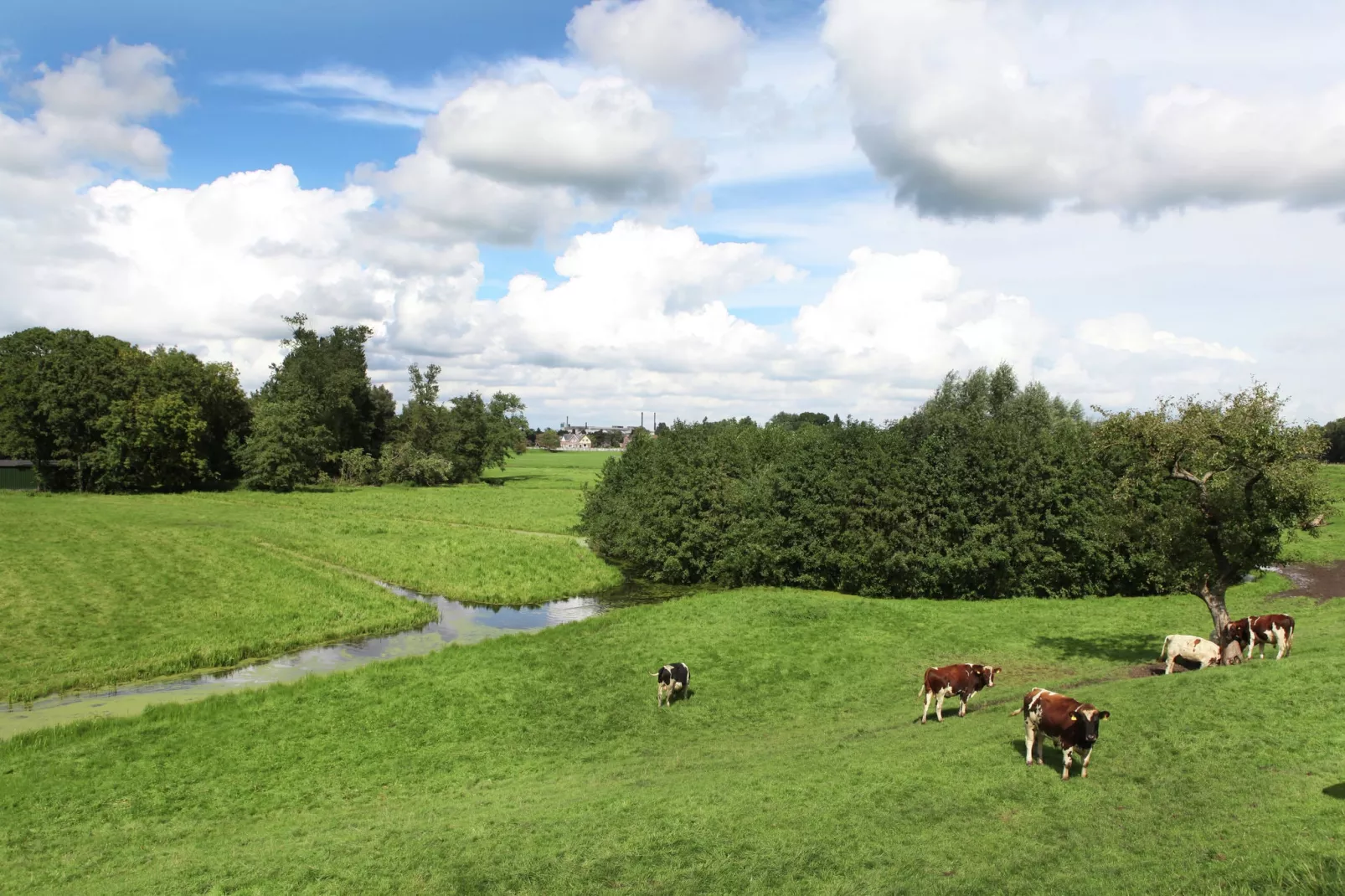 Hoeve Hoogst Tevreden-View summer
