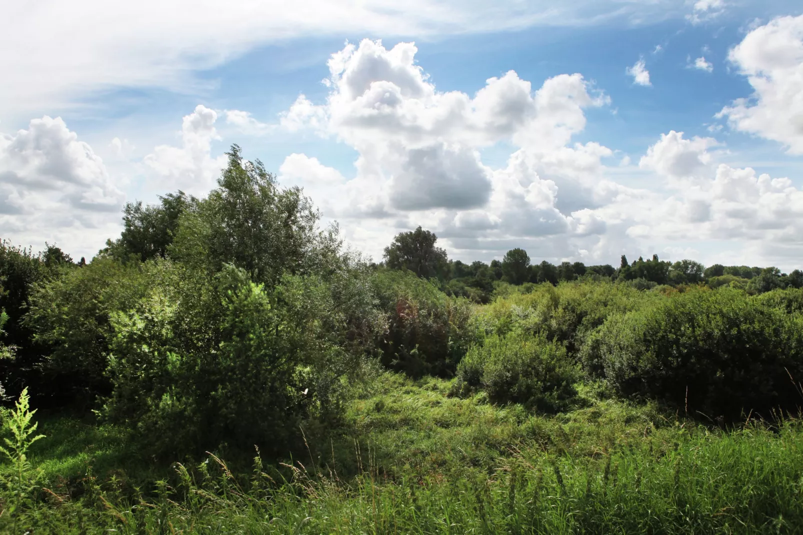 Hoeve Hoogst Tevreden-View summer