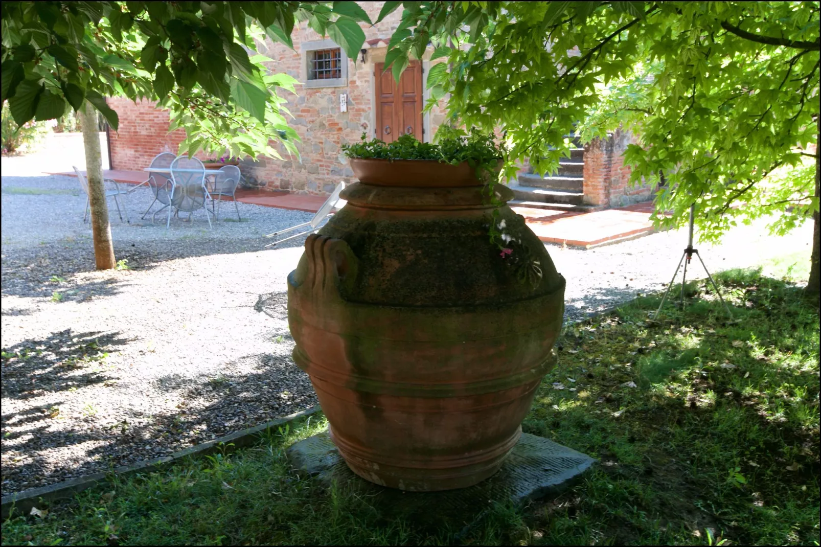 Leccio - Gardens in summer
