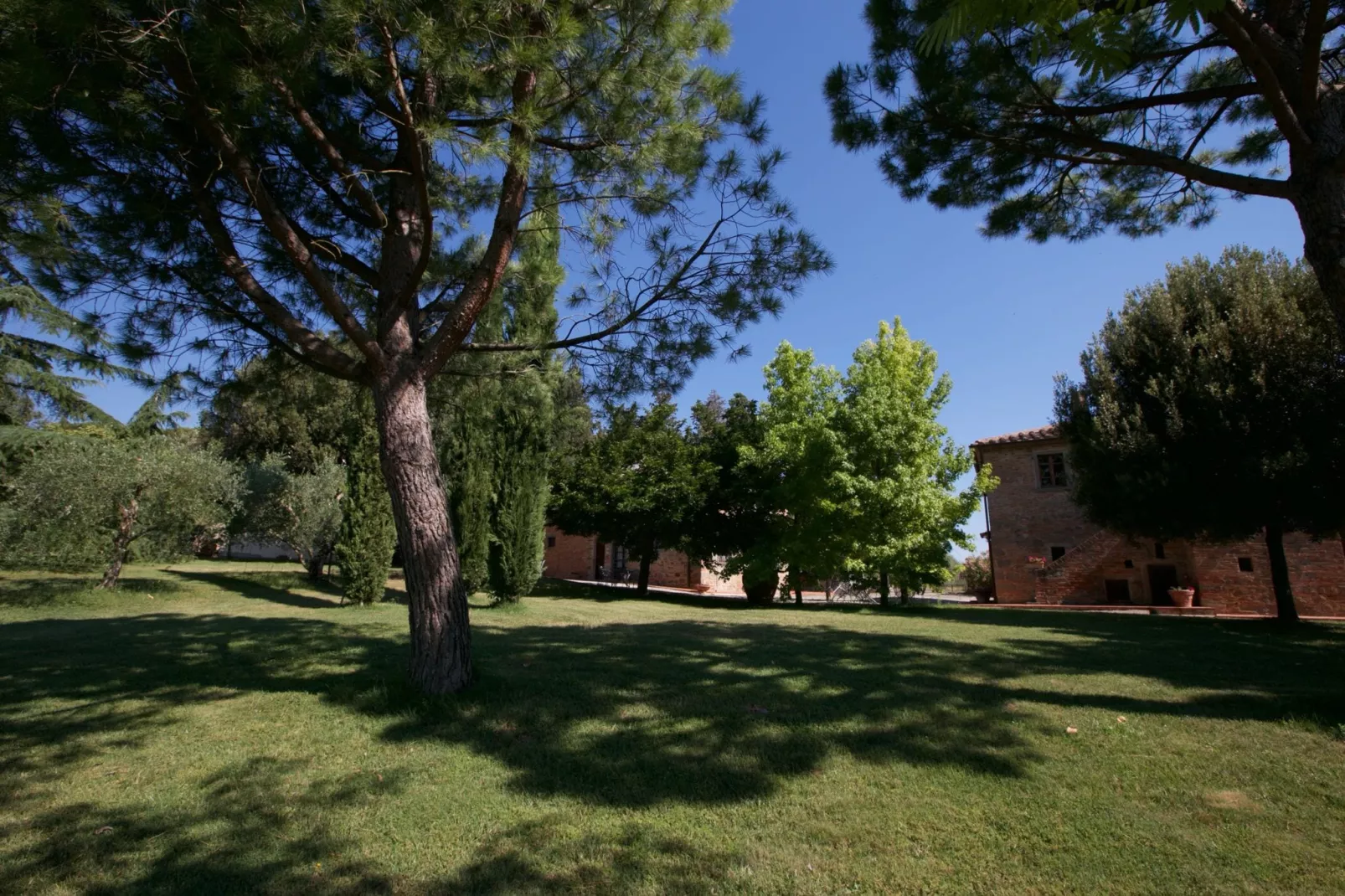 Leccio - Gardens in summer