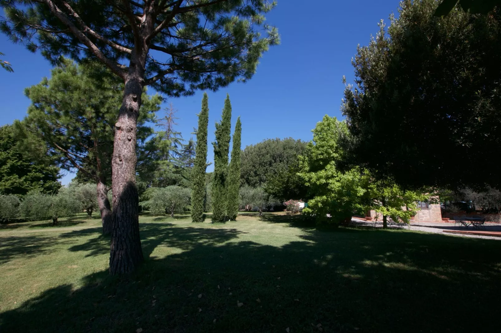 Leccio - Gardens in summer