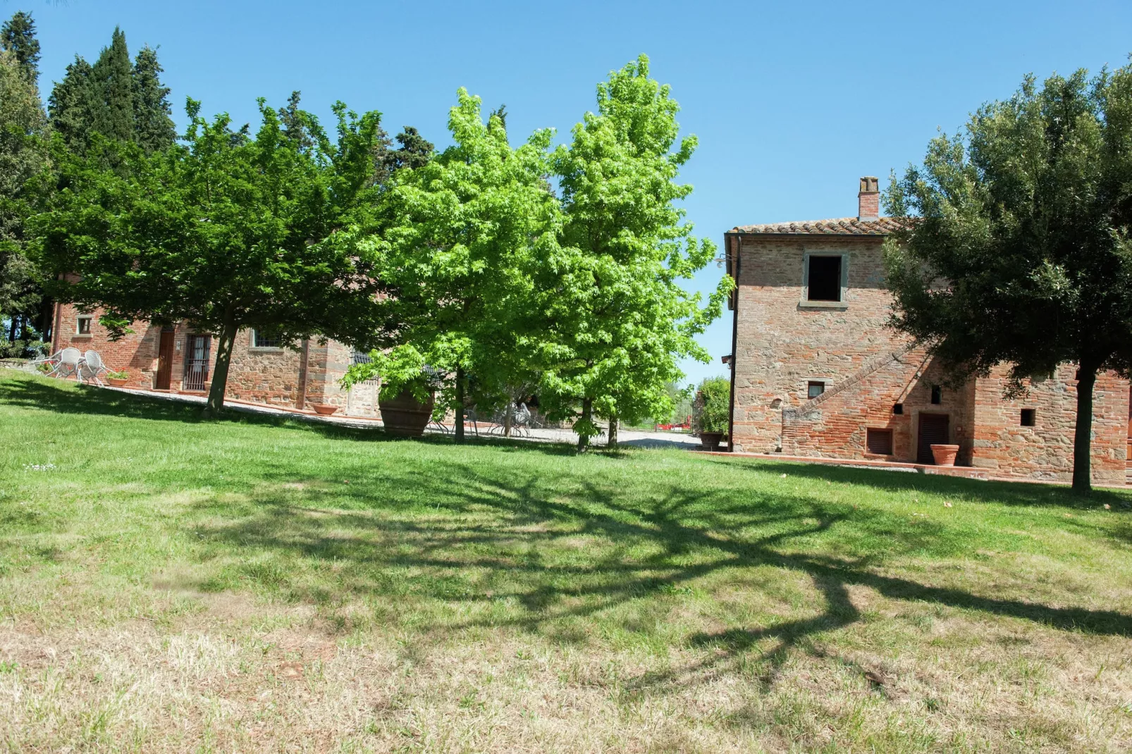 Leccio - Gardens in summer