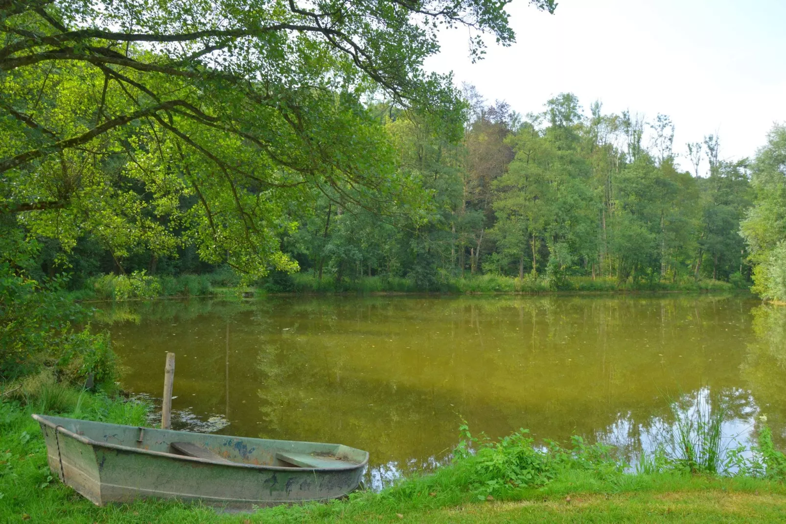 Chateau des Deux Etangs 24 pers-Gardens summer