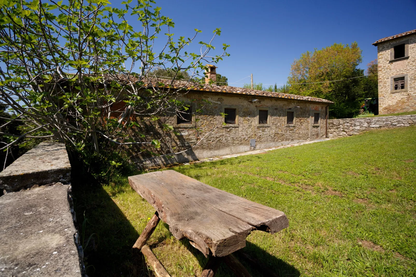 Bellosguardo-Gardens summer