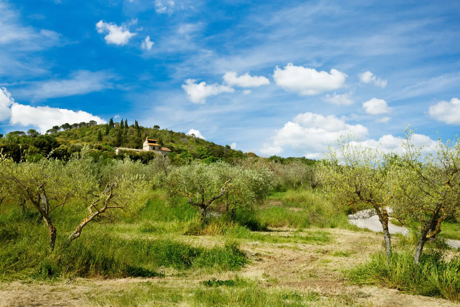 Bellosguardo-Areas summer 5km