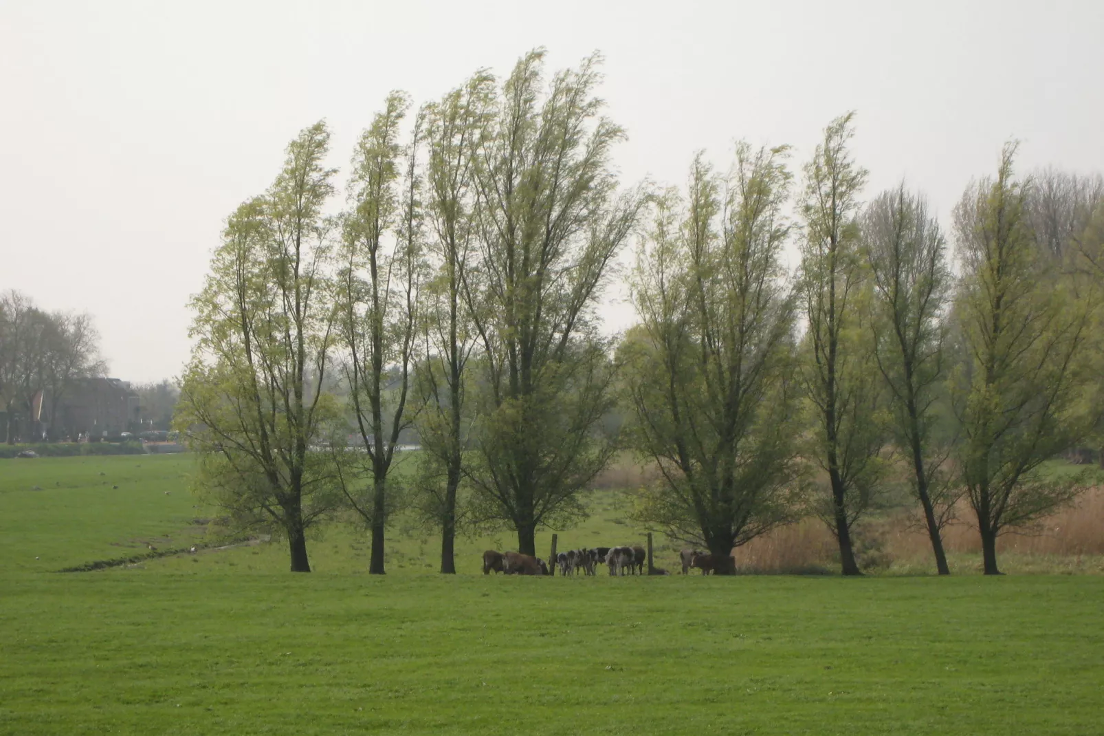 Hoeve Hoogst Tevreden-Areas summer 1km