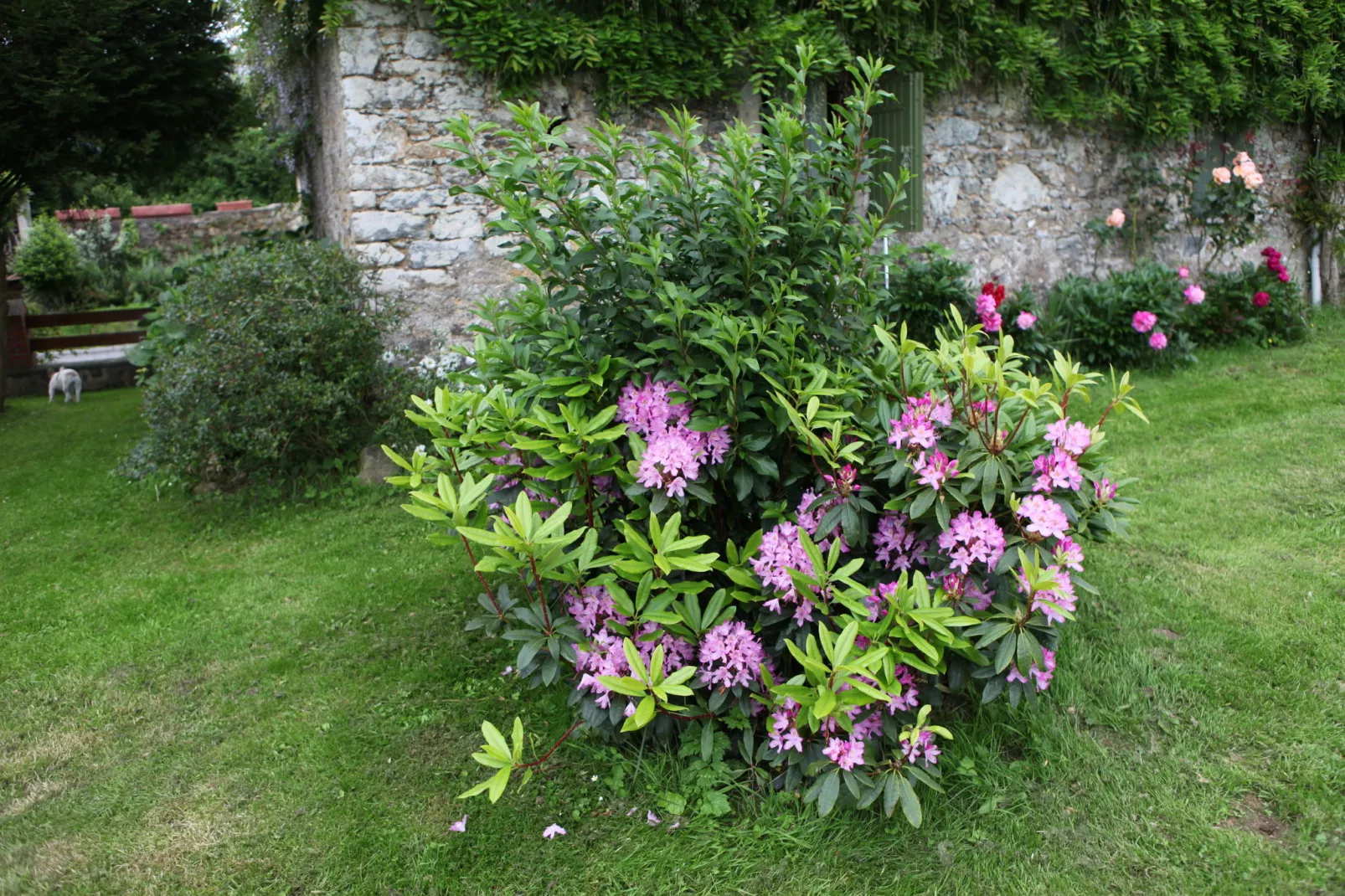 Chez Marylene-Gardens summer