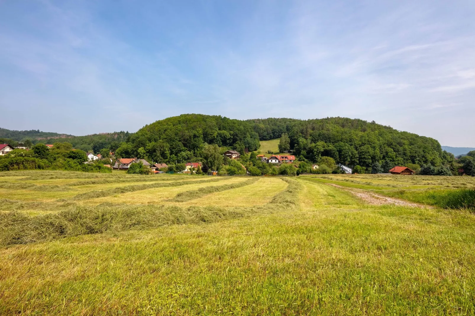 Mosbach-Areas summer 5km