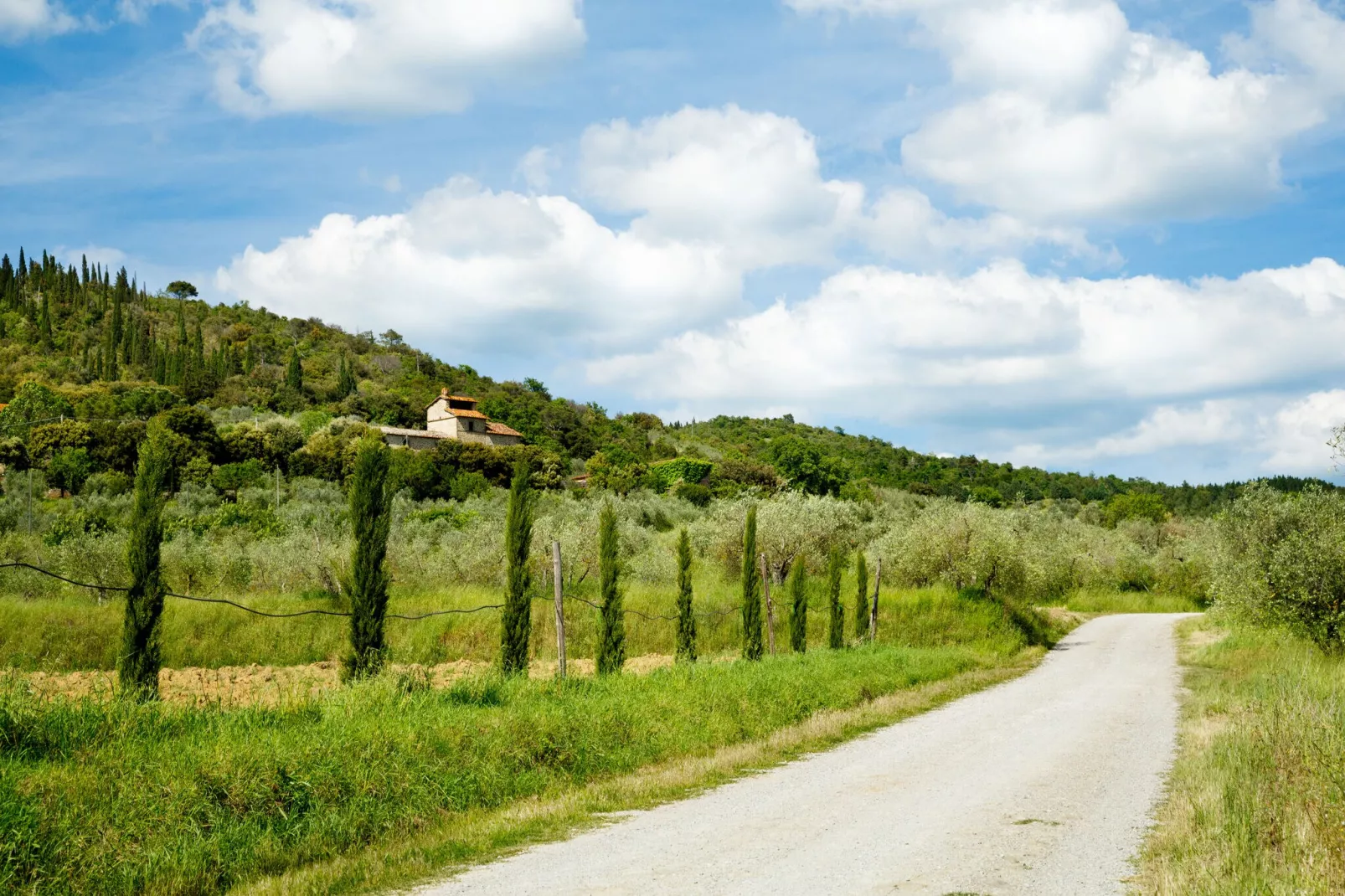 Bellosguardo-Areas summer 5km