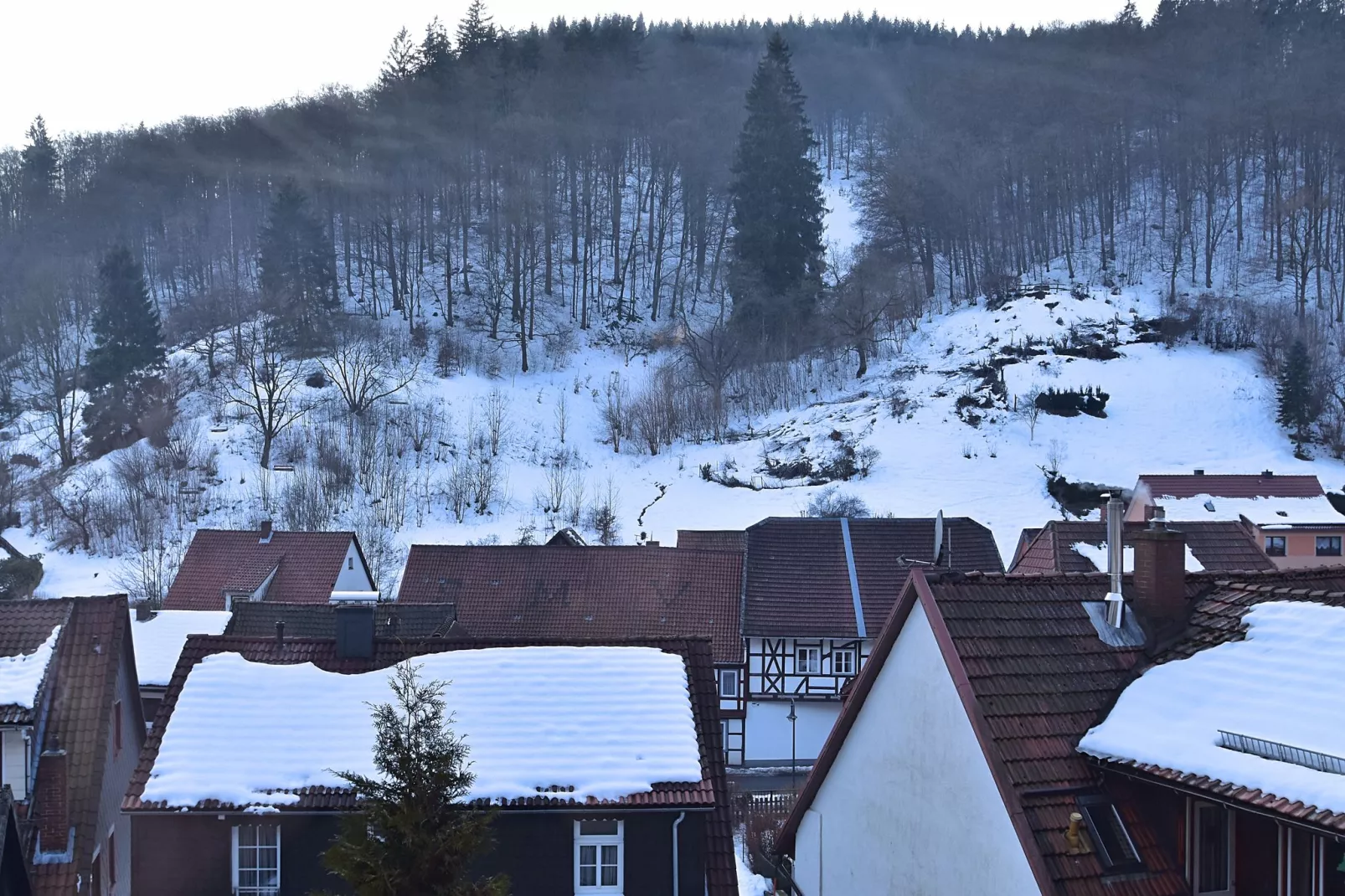 Zorge im Harz-View winter