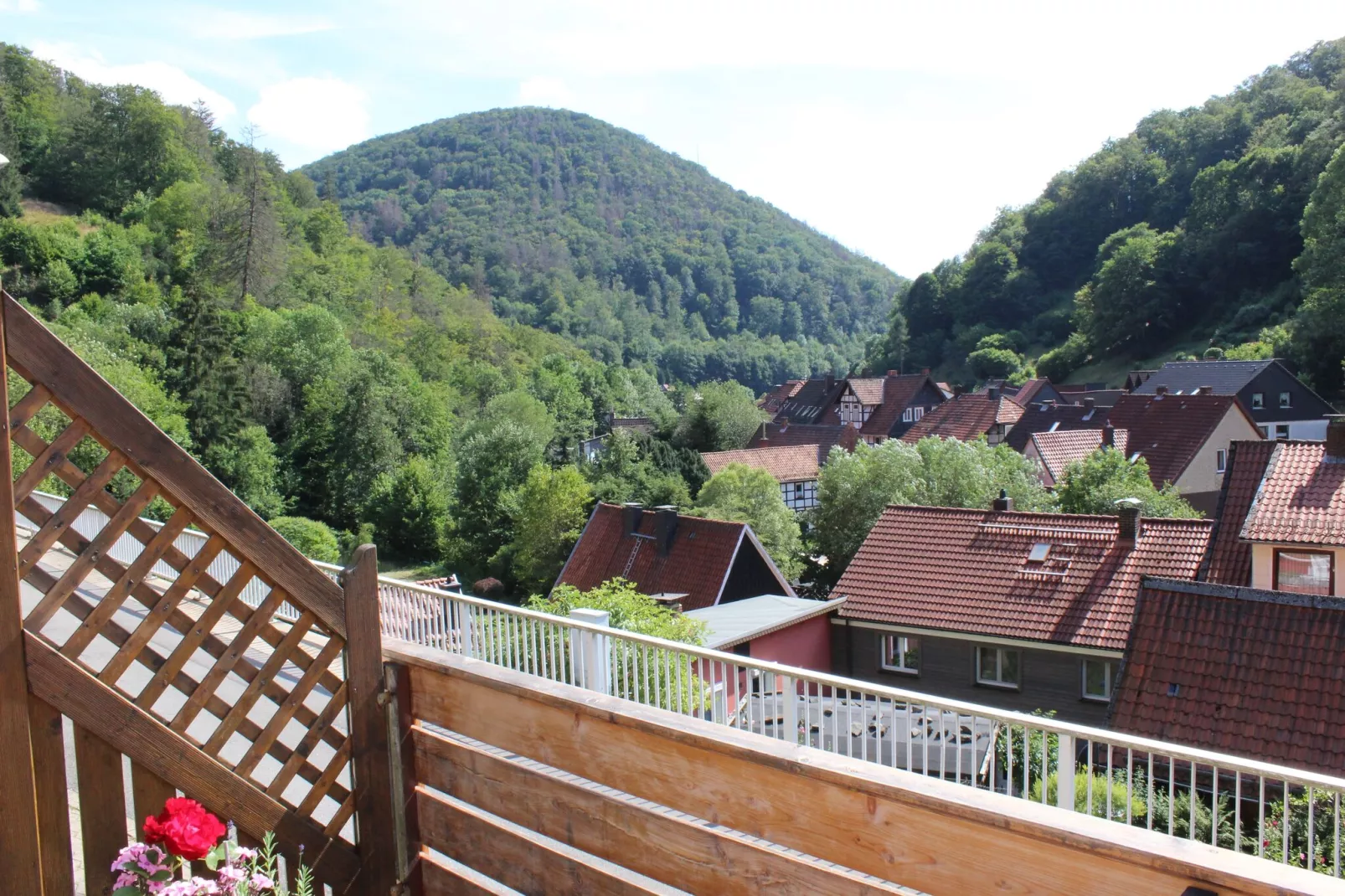 Zorge im Harz-View summer