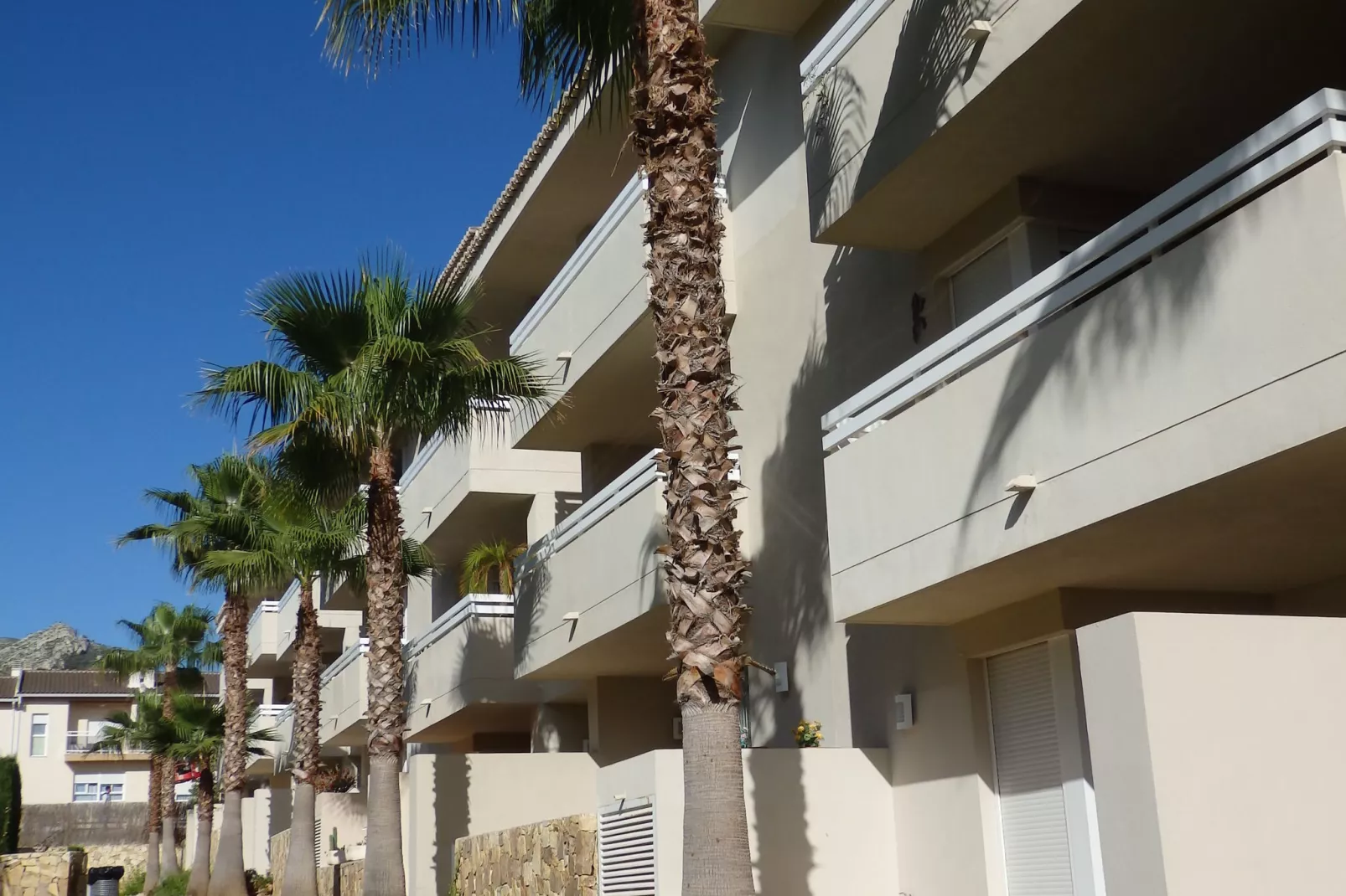 Green Paradise	-Exterior summer