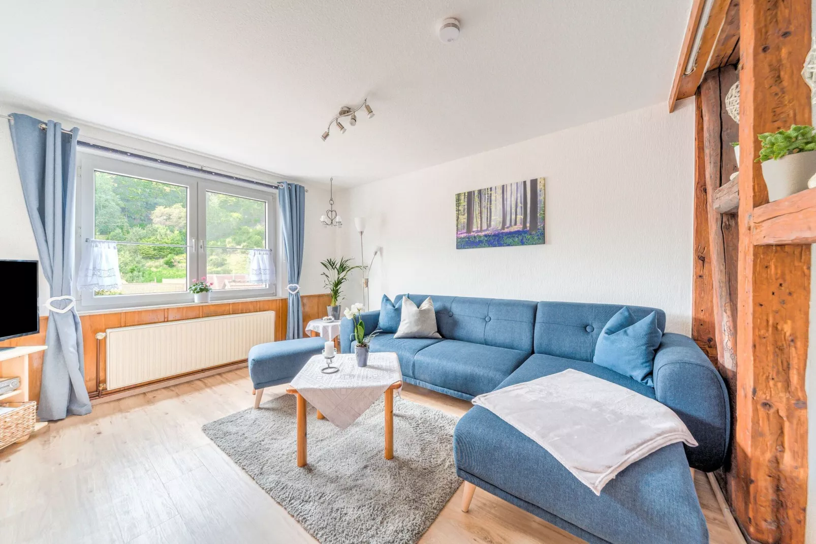 Zorge im Harz-Living room