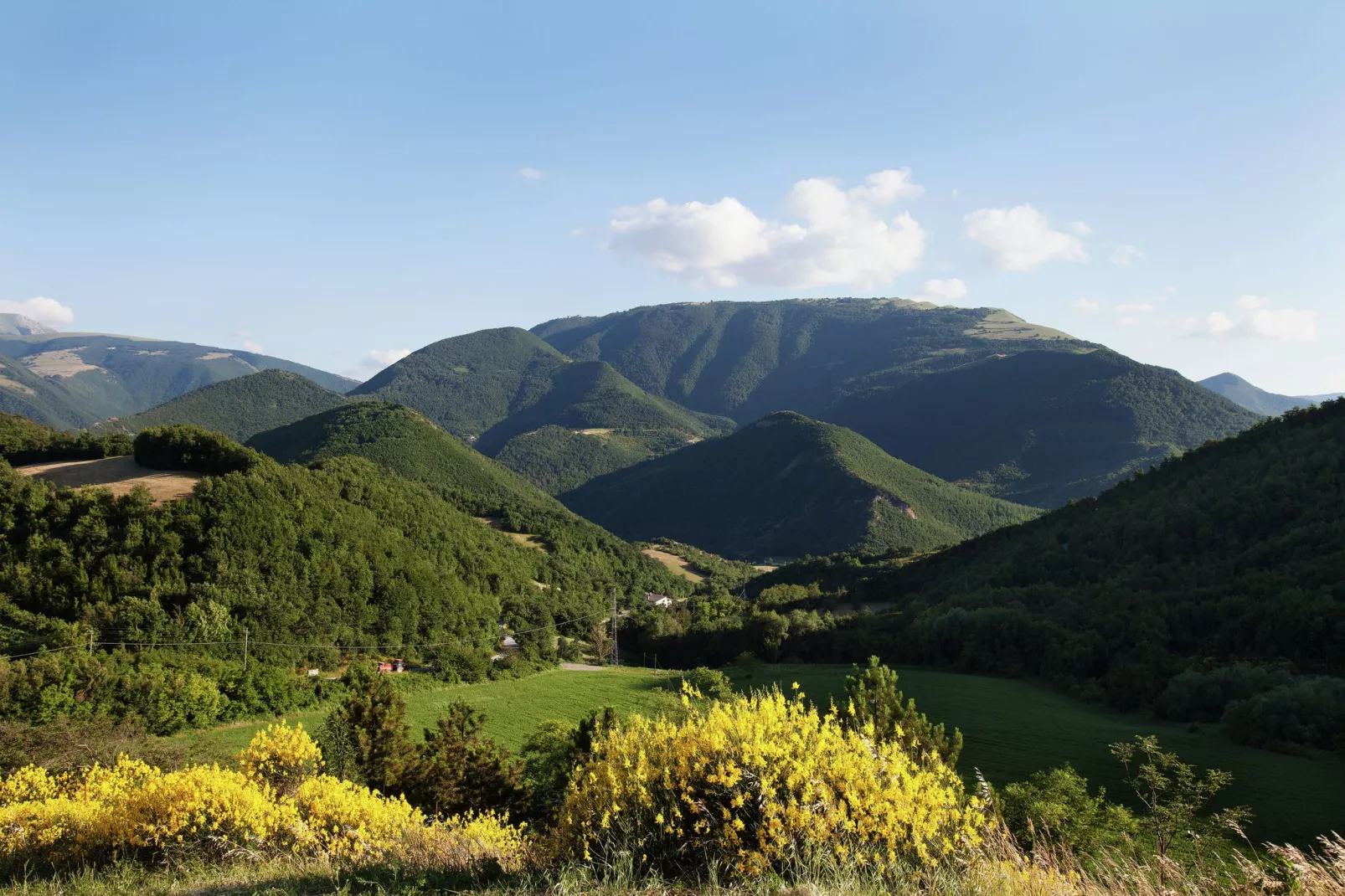 Salvo-Areas summer 1km