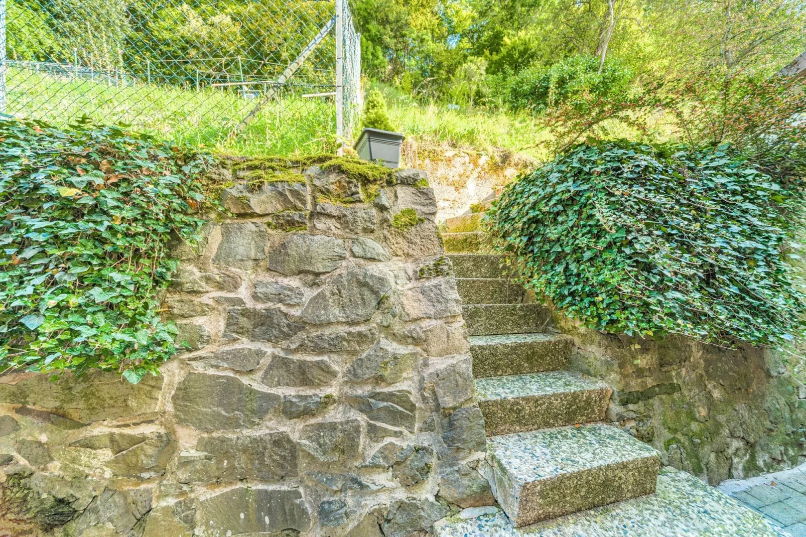 Zorge im Harz-Gardens summer