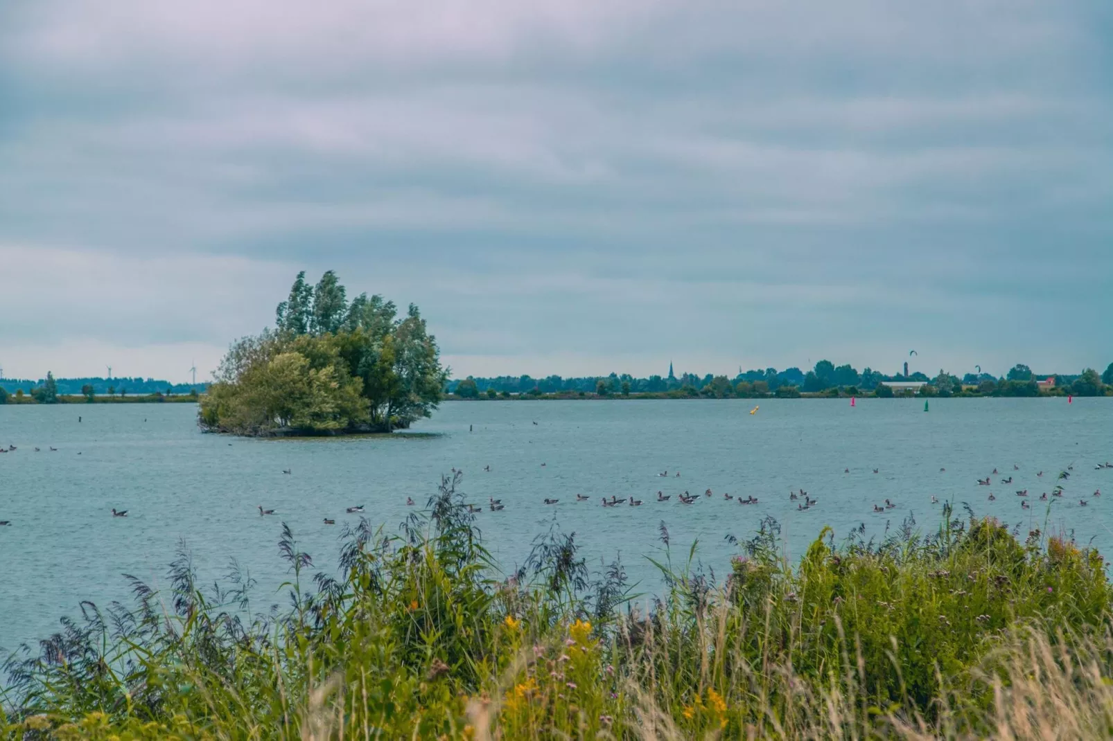 Resort Ijsselmeer 8-Areas summer 5km