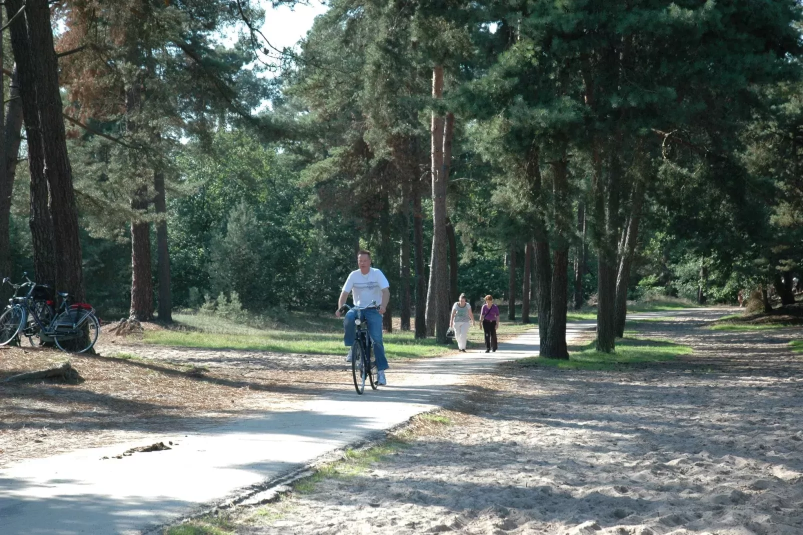 Recreatiepark Duinhoeve 11-Areas summer 1km