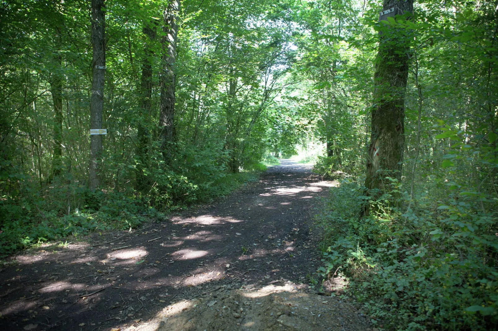 Grand Han-Areas summer 1km