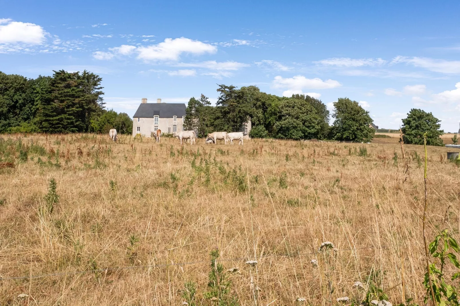Maison de vacances près de la plage d'Ohama-Zones d'été à 5 km