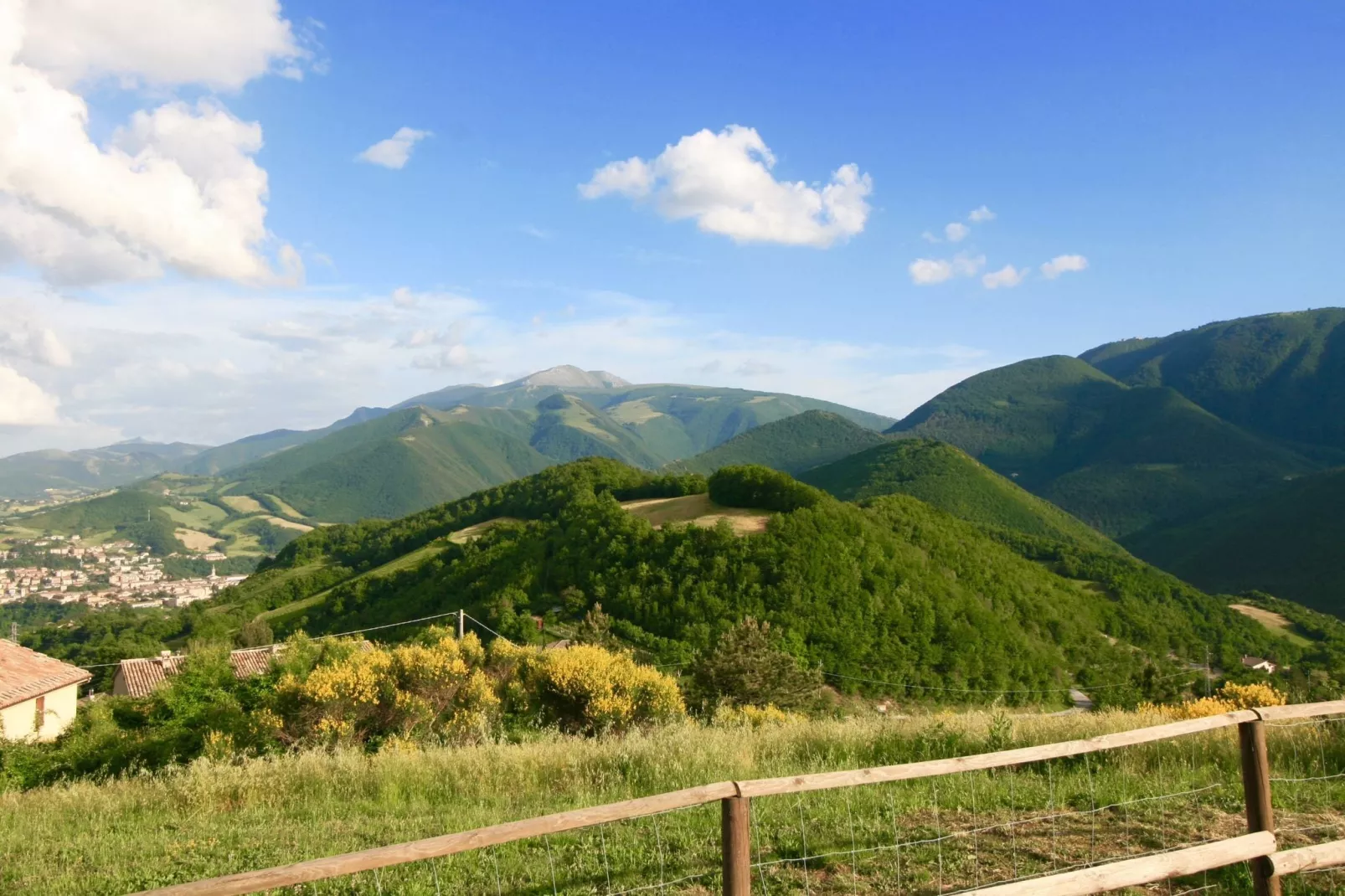 Mino-Areas summer 1km