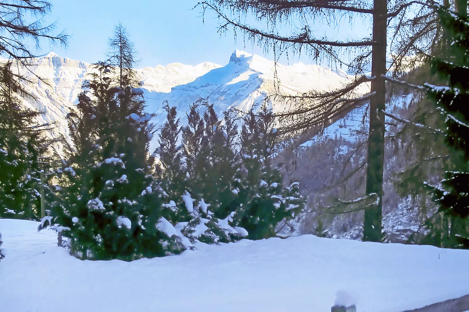 Pierina-View winter