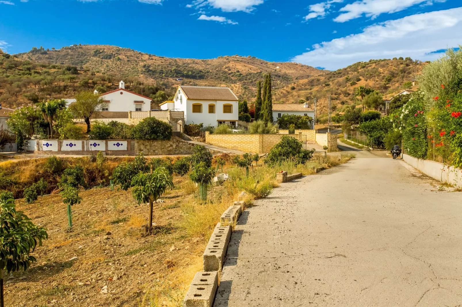 La Vista-Areas summer 1km