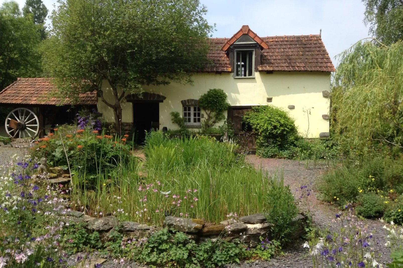 The Studio-Exterior summer