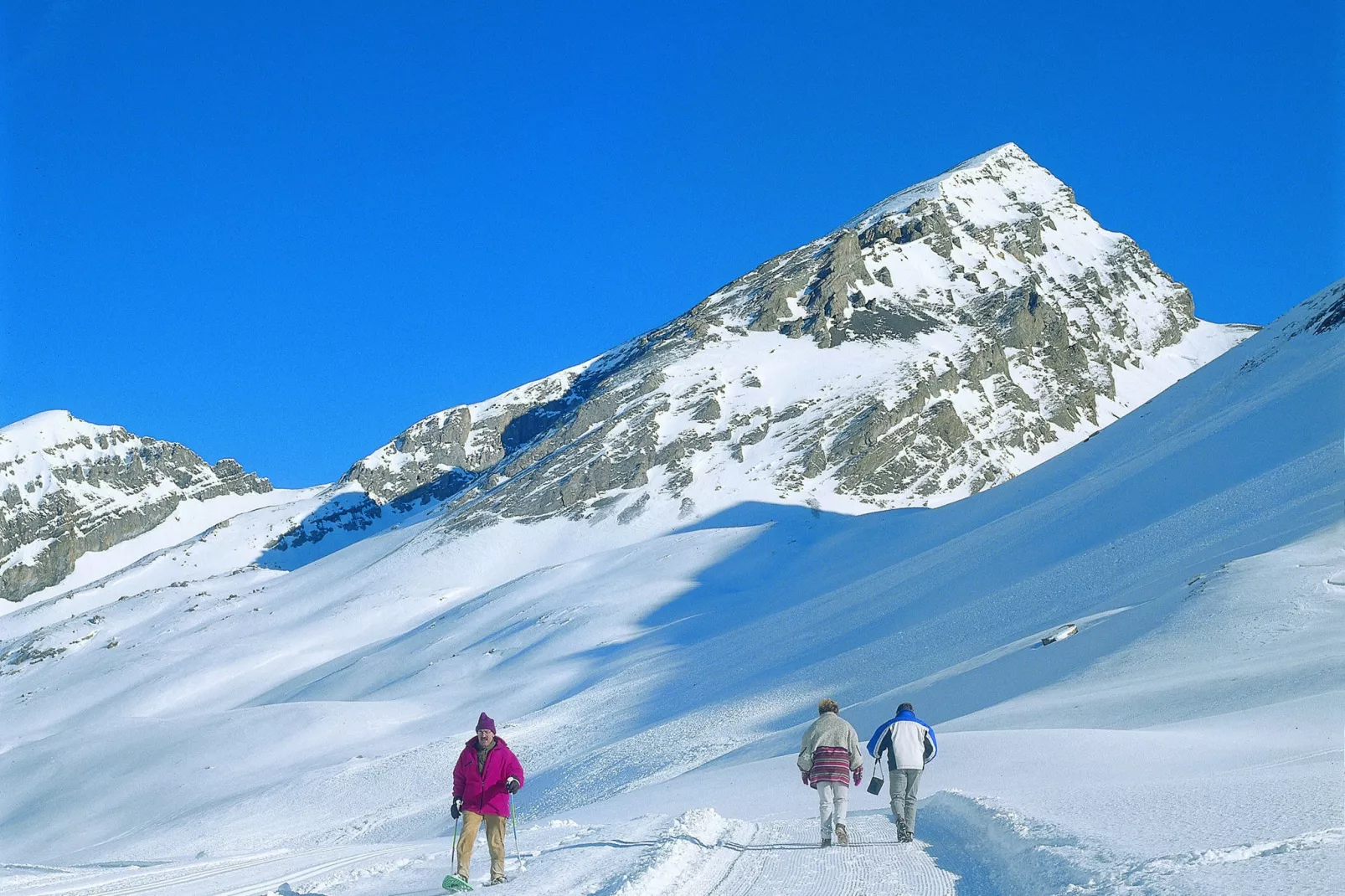 Pierina-Area winter 20km