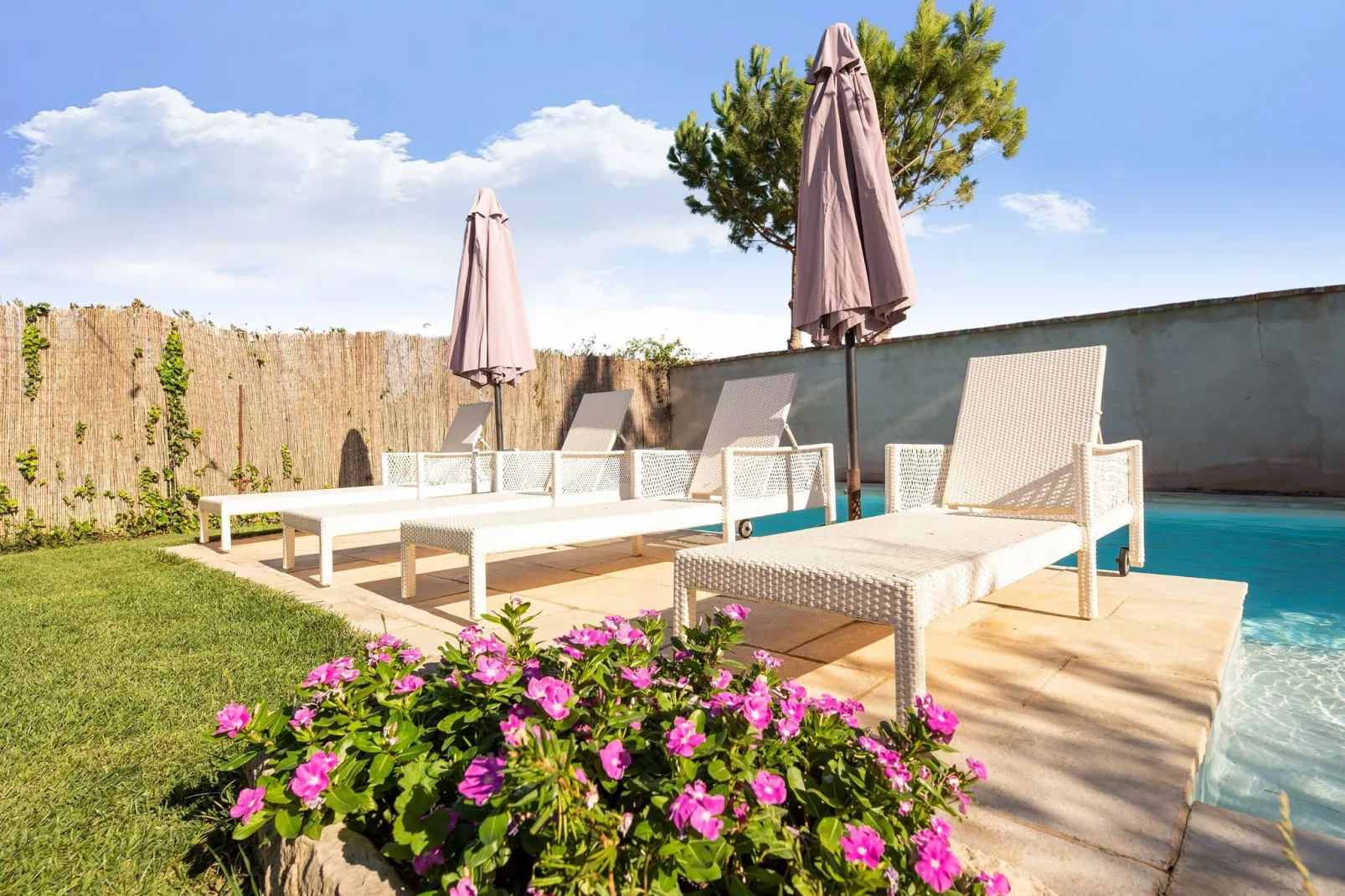 gardensummer