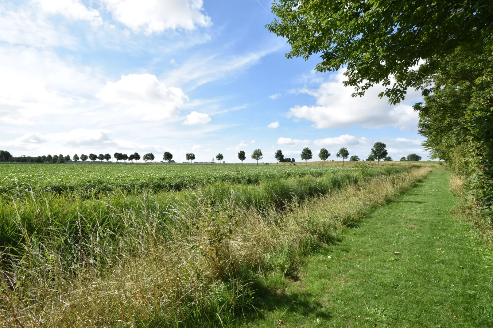 Het Mosselhuys-View summer