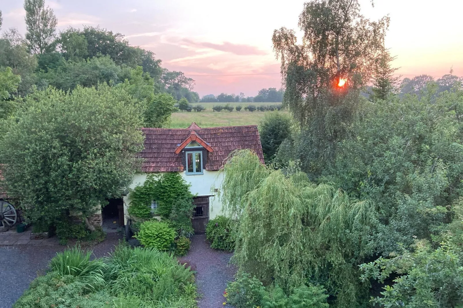 The Studio-Exterior summer