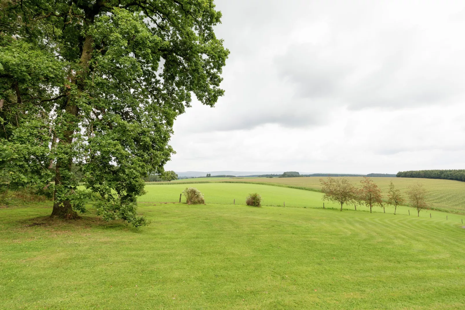 Le Beau Jardin-Aussicht Sommer