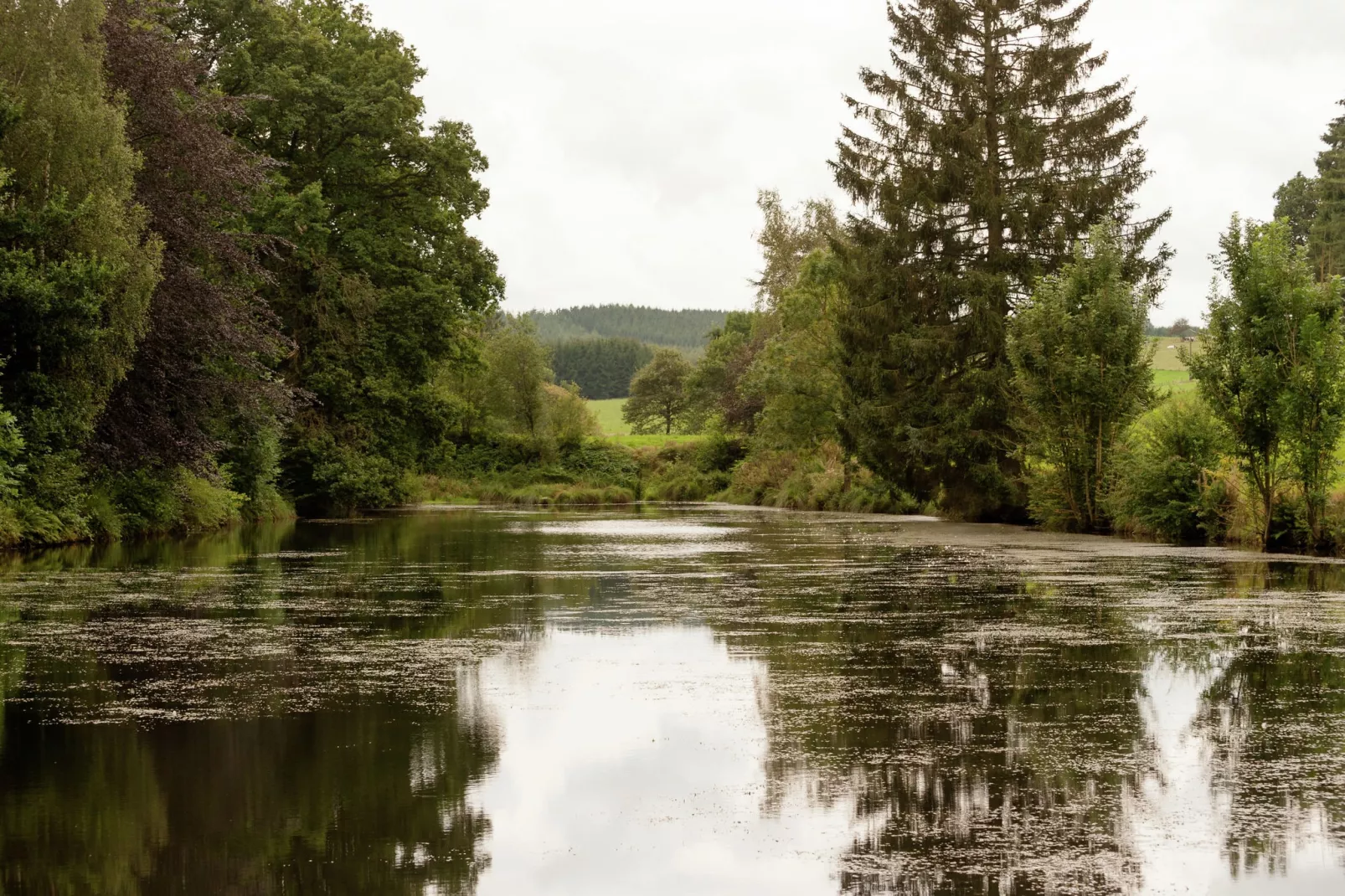 Le Beau Jardin-Gebiete Sommer 1 km