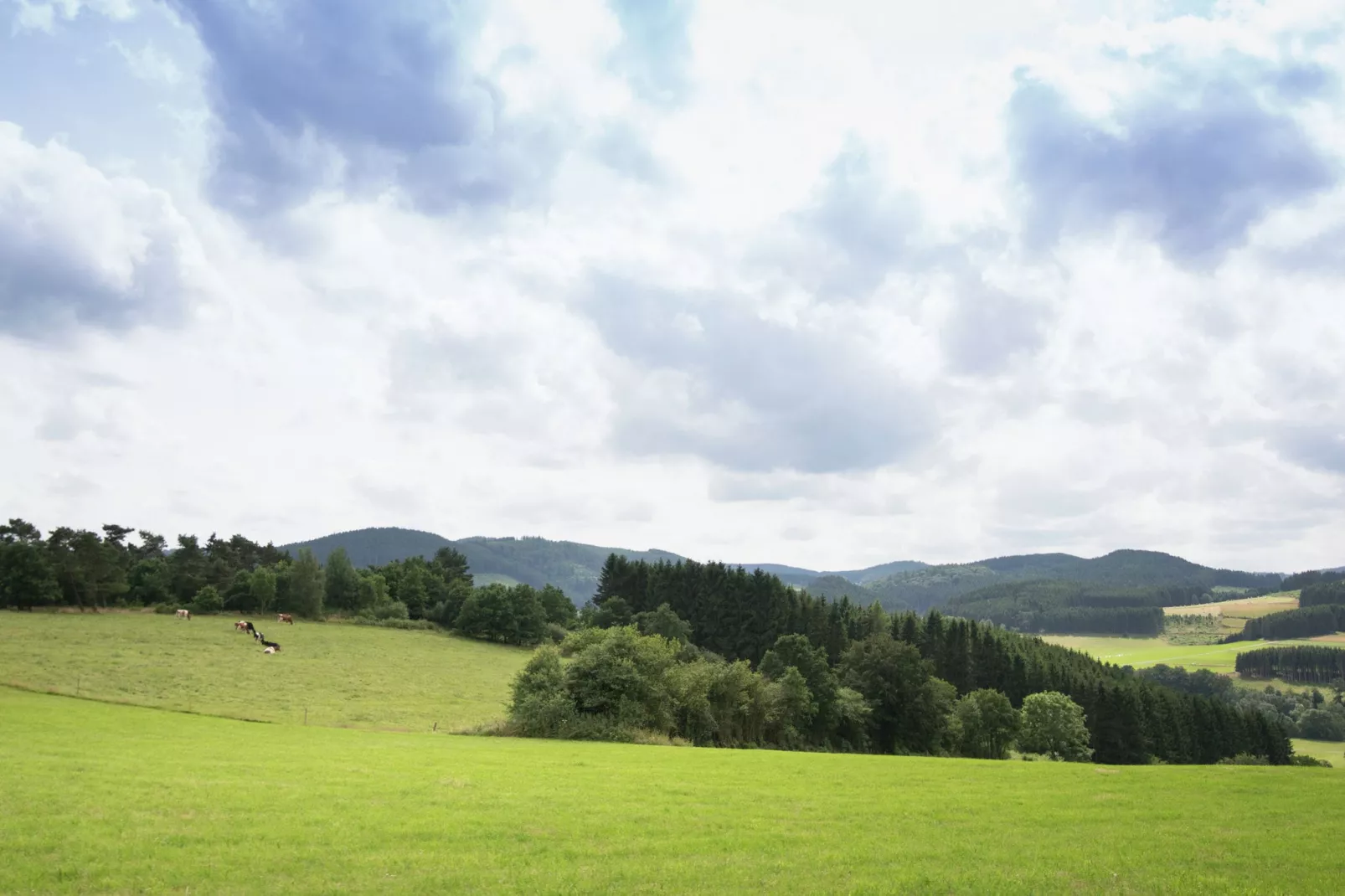 Hülsemann-Areas summer 1km