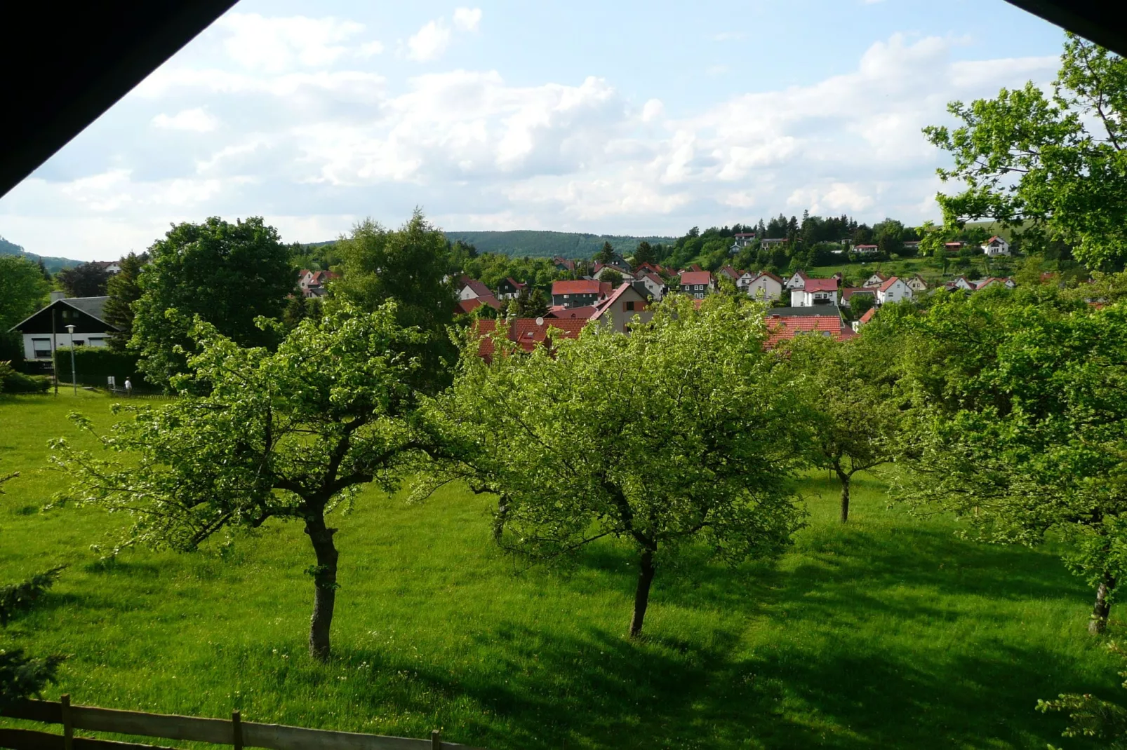 Am Wald-Vue d'été