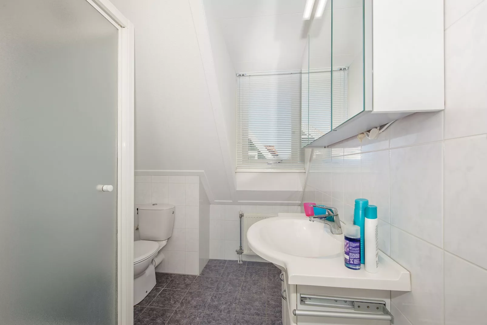 Aquadelta 9-Bathroom