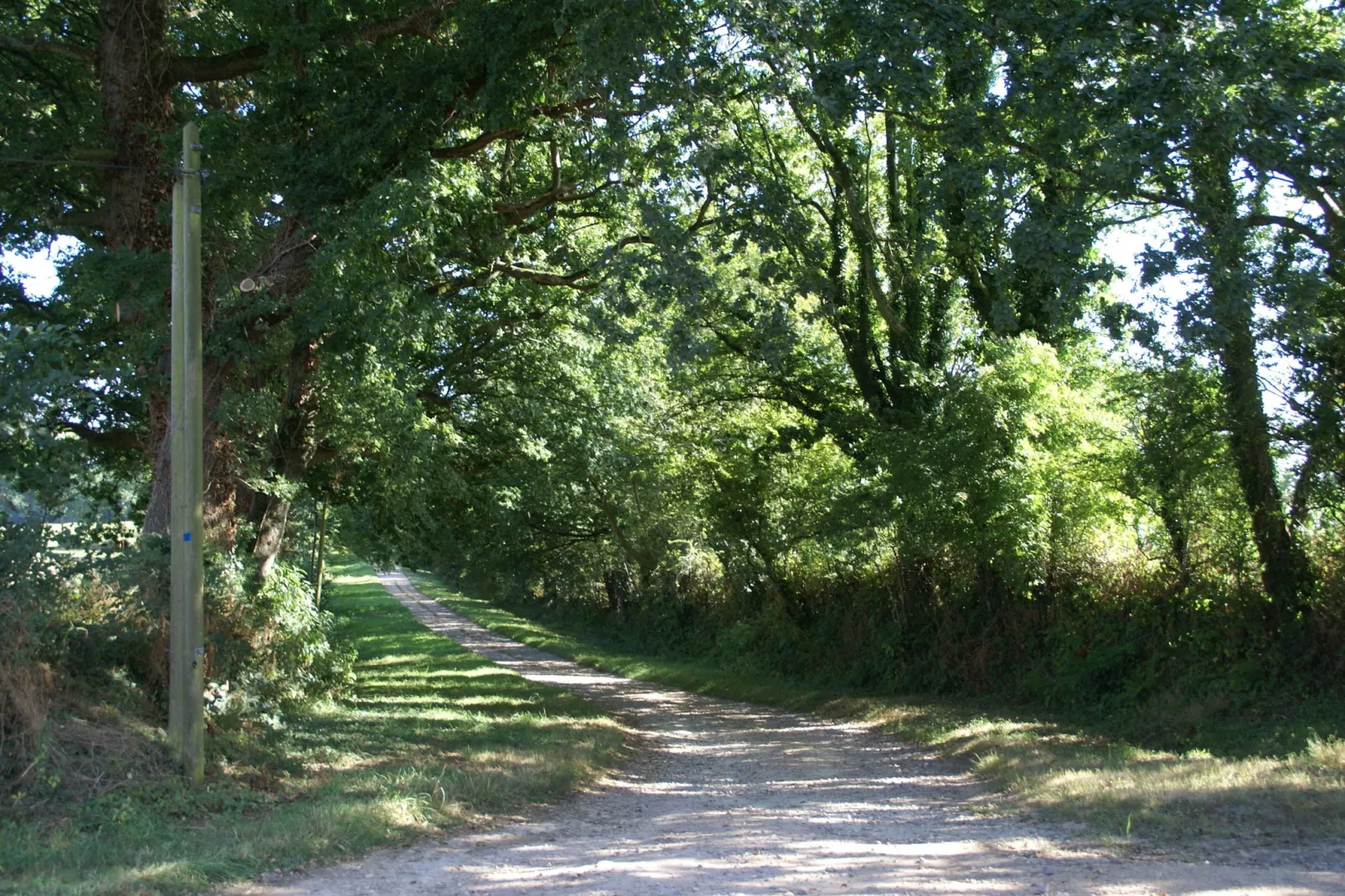 Maison de vacances Valognes-Gebiete Sommer 1 km