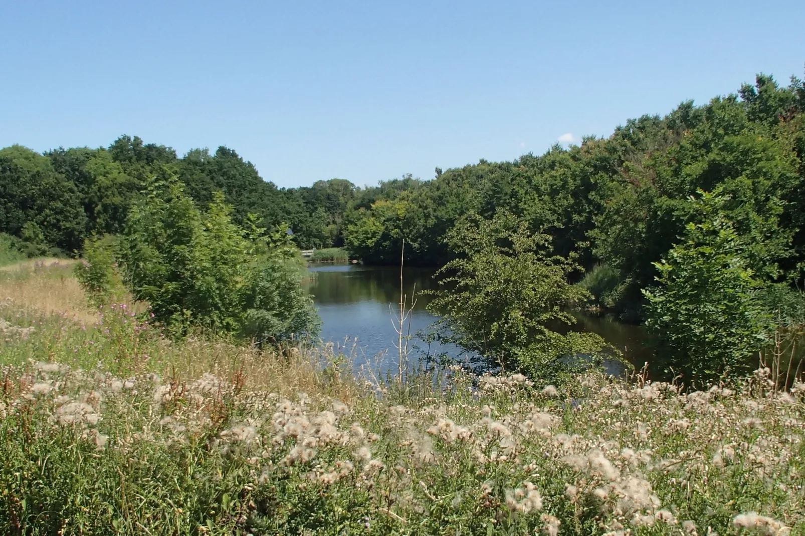 Ritthemse Pracht-Areas summer 20km