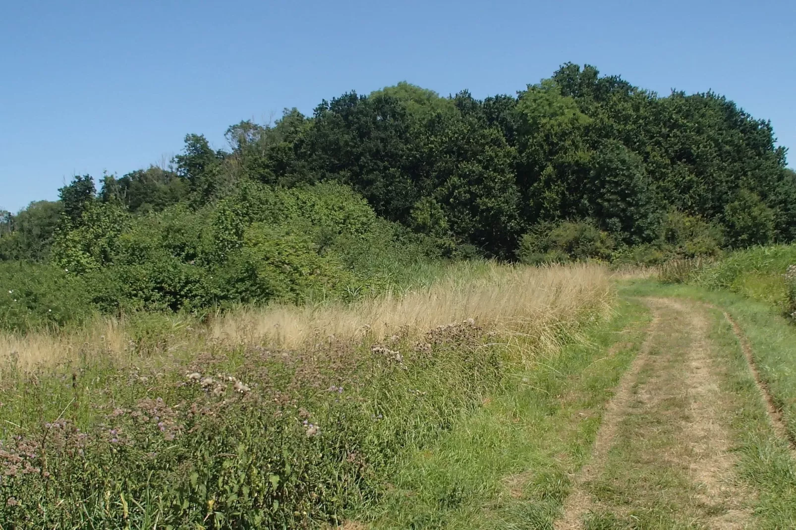 Ritthemse Pracht-Areas summer 20km