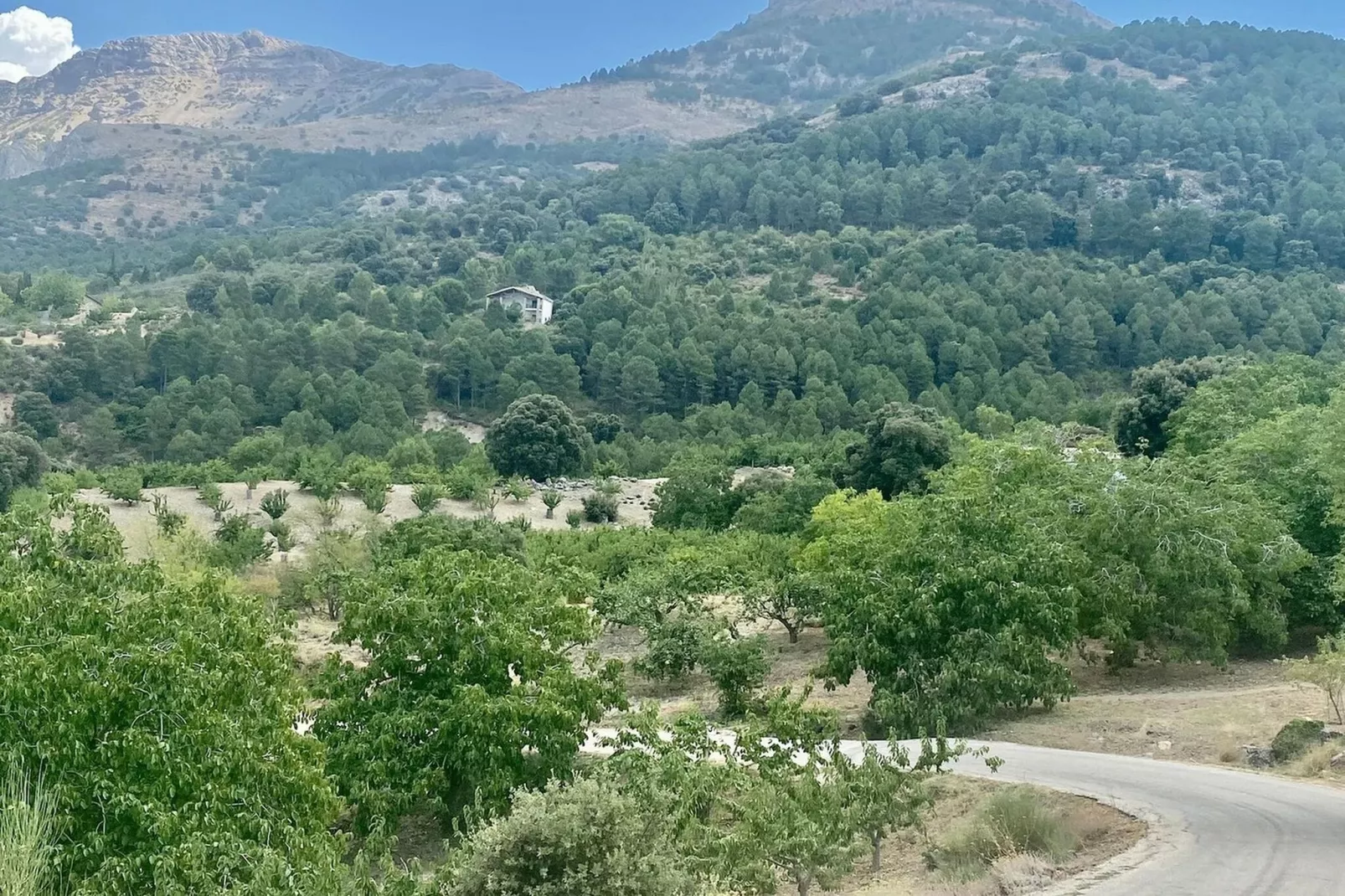Villa El Refugio-Ambiance