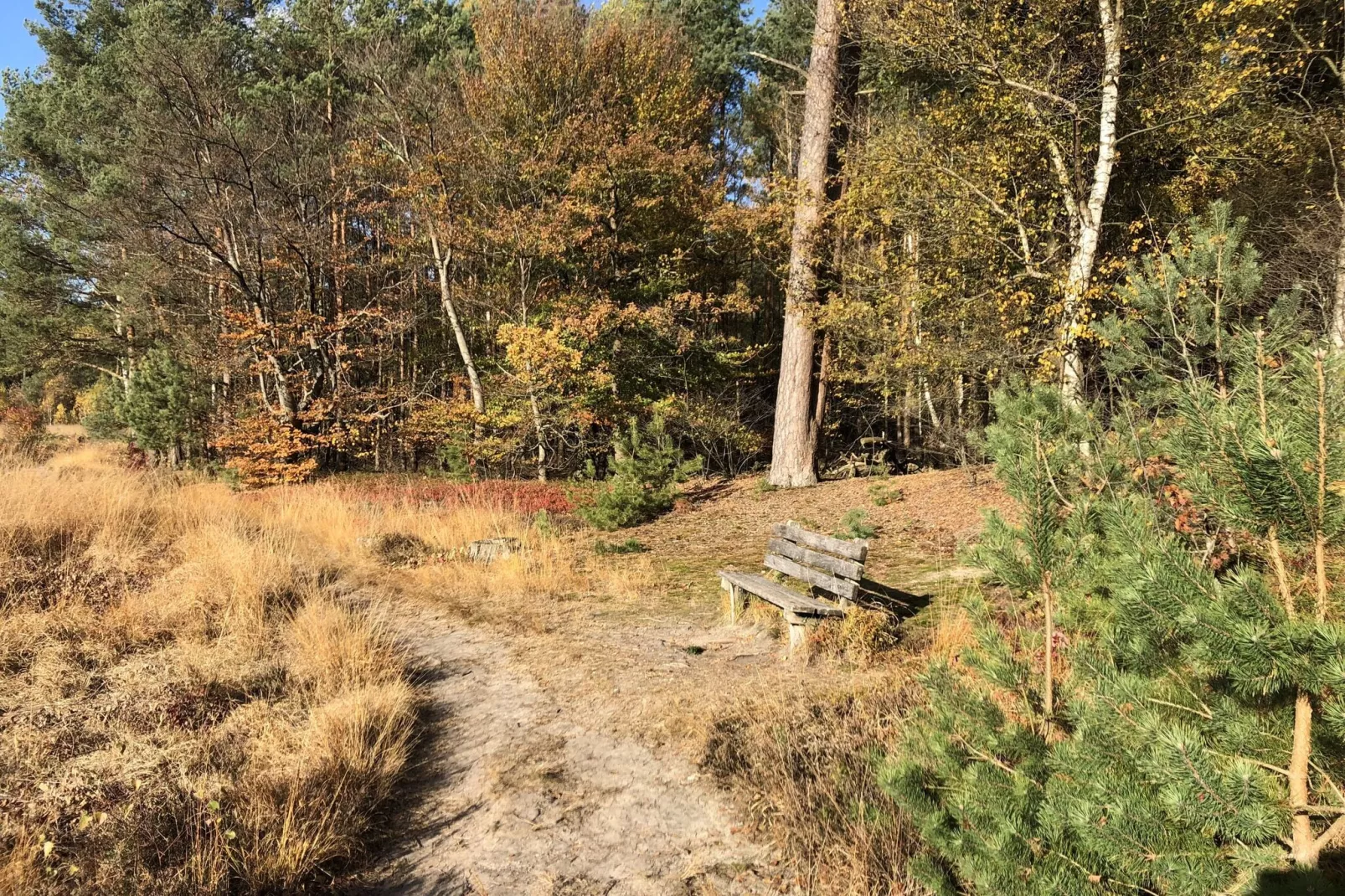 Landgoed de Klimberg-Gebiete Sommer 5 km