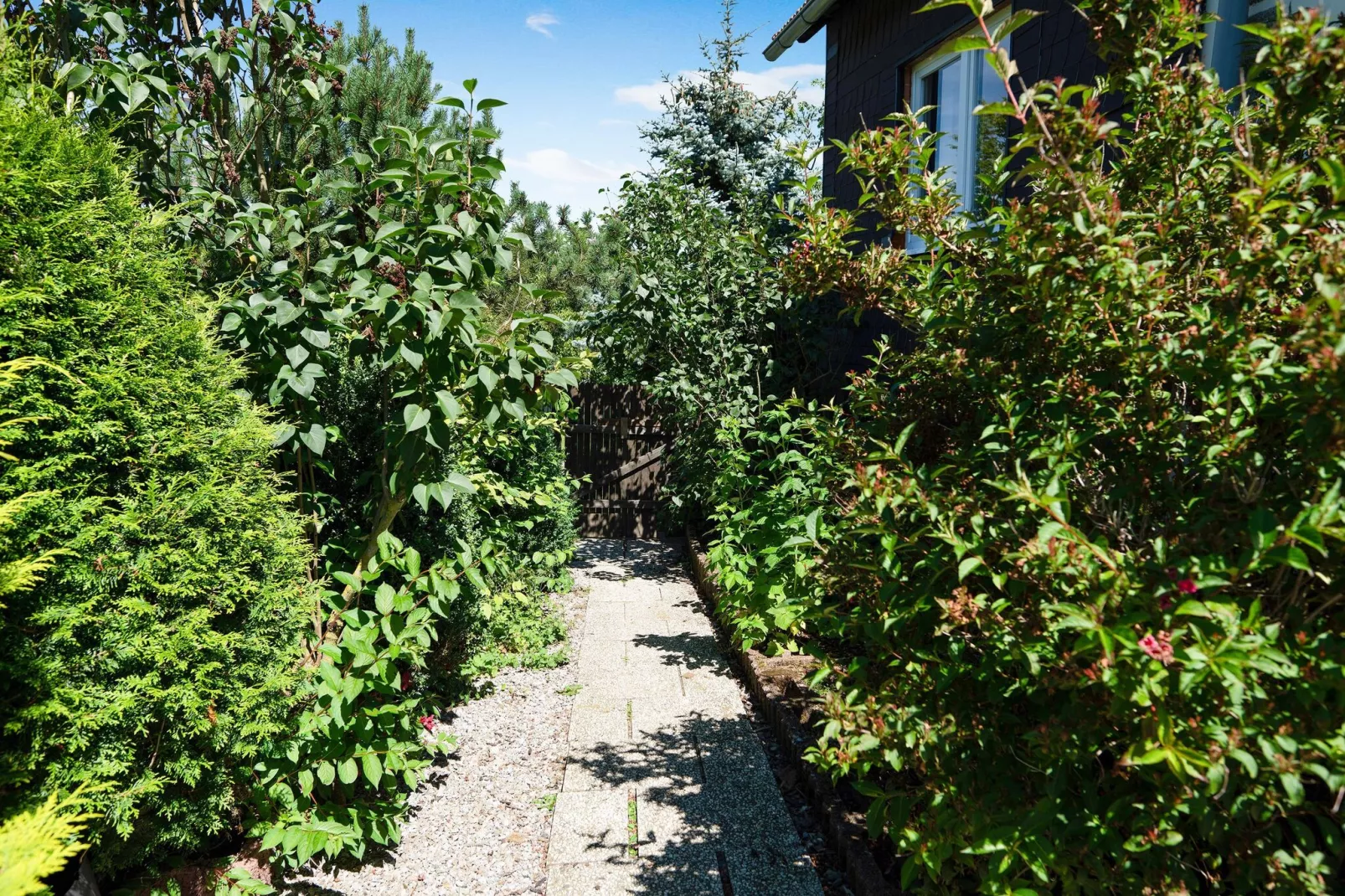Sauerland - Diemelsee-Gardens in summer