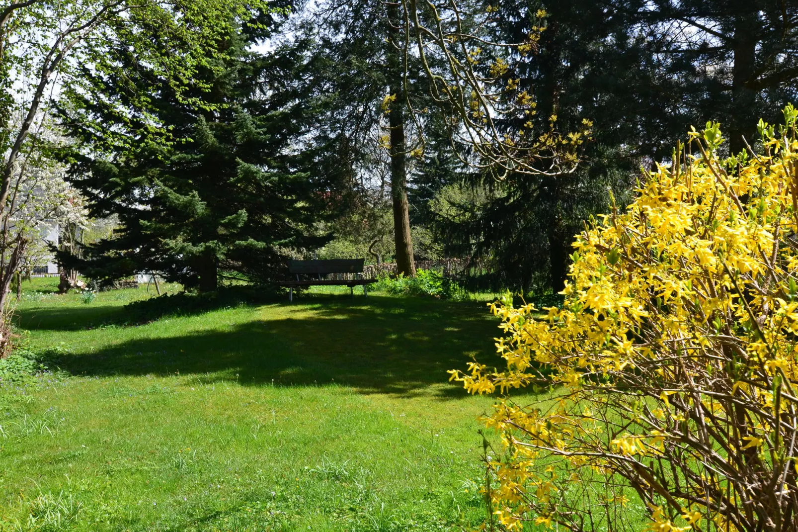 Fachwerkhaus Thüringen-Gardens summer