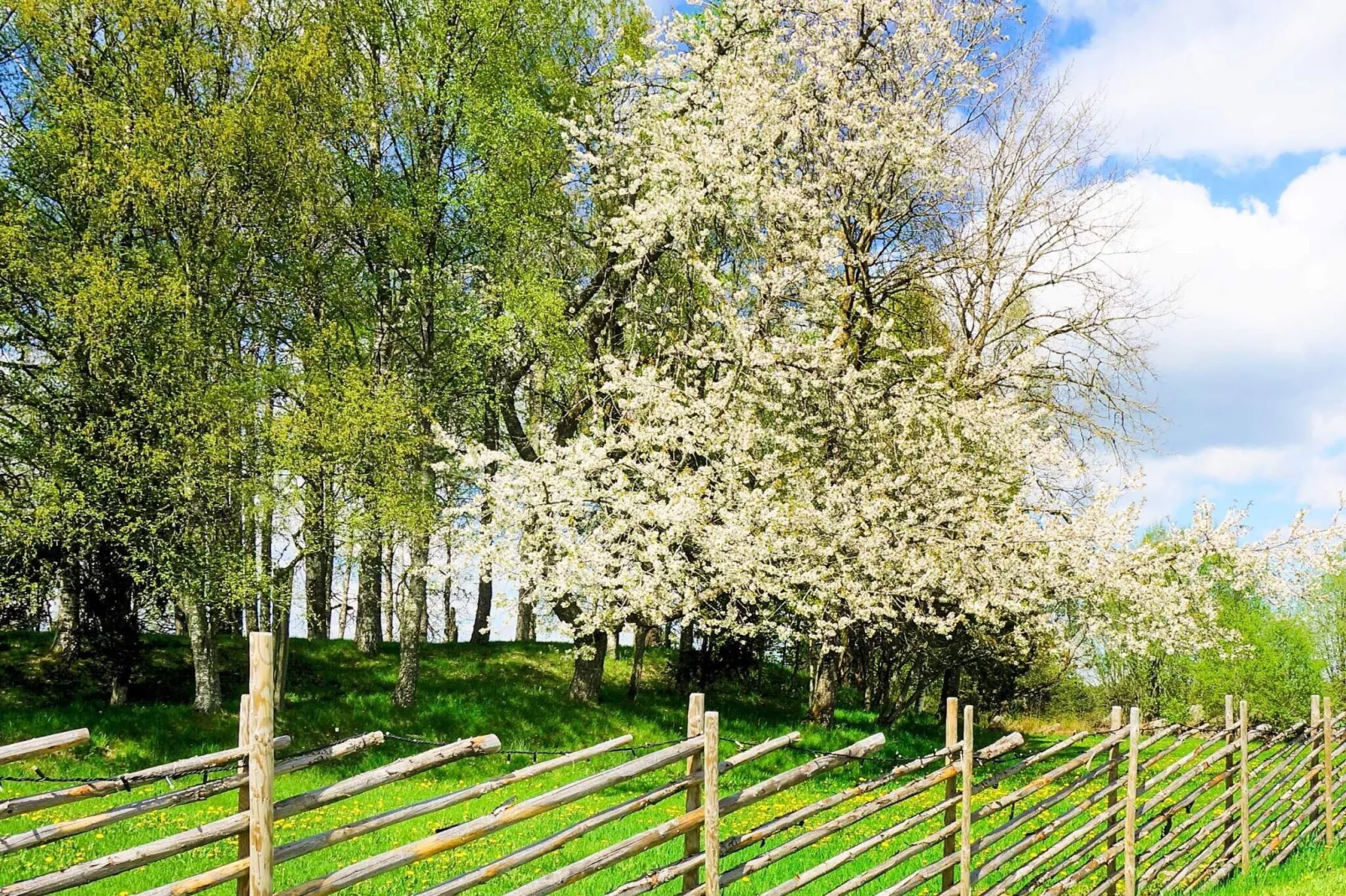 4 person holiday home in SANDHEM-Not tagged